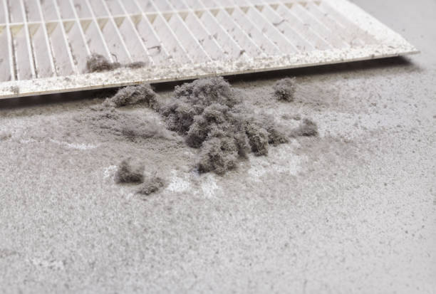 Best HVAC System Cleaning  in Powderly, TX