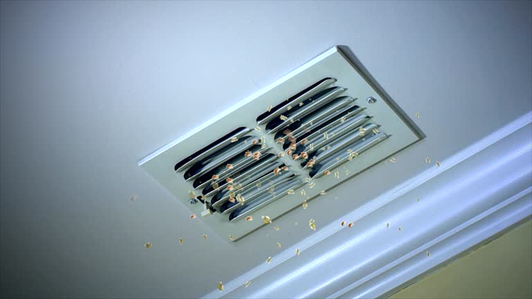 Best Affordable HVAC Duct Cleaning  in Powderly, TX