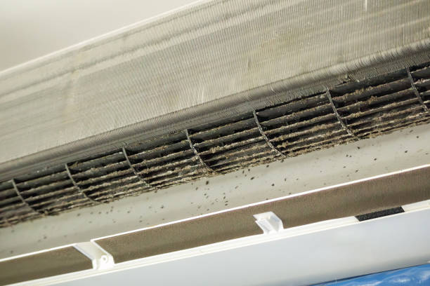 Best Air Duct Cleaning Near Me  in Powderly, TX